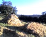 11-03-08_1819.jpg