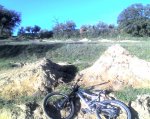 11-03-08_1818.jpg