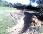 11-03-08_1816.jpg