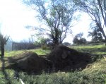 11-03-08_1815.jpg
