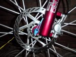 DSC00173_1000.jpg