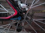 DSC00175_1500.jpg