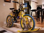 Freeridehub_snow_bike_2006_btight_800.jpg