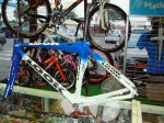 DSC00604.JPG
