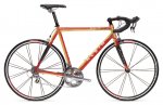 asset_upload_file305_1532.jpg