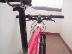 scott scale 40  9,88kgs 006.jpg