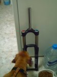 PICT0047.JPG