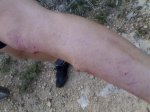 14032008526.jpg