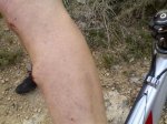 14032008527.jpg
