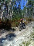 04-11-07_1243.jpg