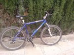 DSC01117.jpg