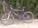 DSC01118.jpg