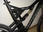 rallon-2.jpg