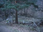 Foto15.JPG