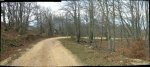 pano2.jpg