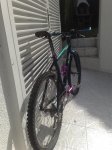 Varis 3 0902.jpg