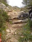 DSC00553.JPG