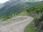 20070616141424-Pablo.jpg