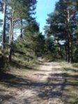 DSC05256.JPG
