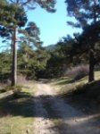 DSC05258.JPG