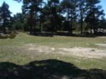 DSC05307.JPG