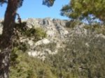 DSC05318.JPG