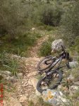 DSC00554.JPG