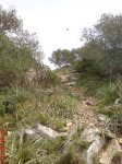 DSC00552.JPG
