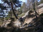 Foto82.JPG