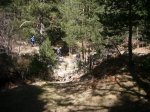 Foto95.JPG