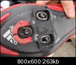 dsc01299ro8.th[1].jpg