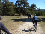 DSC05306.JPG