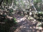 IMG_0040.jpg