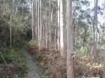 IMG_0053.jpg