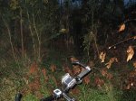 IMG_0061.jpg