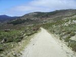 IMG_0208.JPG