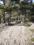 IMG_0246.JPG