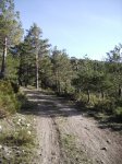 IMG_0247.JPG