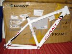 giant 001.jpg