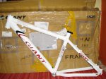 giant 002.jpg