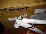 giant 004.jpg