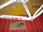 giant 005.jpg
