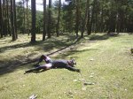 PIC_0018.JPG