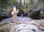 PIC_0029.JPG