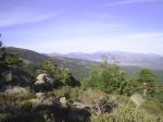 PIC_0041.JPG