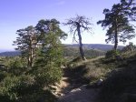 PIC_0043.JPG