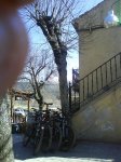 DSC00335.jpg