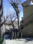 DSC00341.jpg
