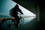 bici6.jpg