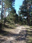 DSC05256.JPG